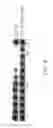 Fig. 10 - Thermostable reverse transcriptases and uses thereof