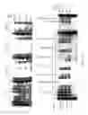 Fig. 15 - Thermostable reverse transcriptases and uses thereof
