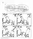Fig. 02 - Method of cleaving DNA with rationally-designed meganucleases