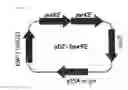 Fig. 06 - Microorganisms of with improved 5′-inosinic acid productivity, and method for producing nucleic acids using same