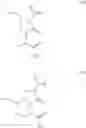 Fig. 24 - AMIDASES AND METHODS OF THEIR USE