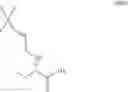 Fig. 28 - AMIDASES AND METHODS OF THEIR USE