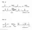 Fig. 03 - Bioabsorbable polymer containing 2-hydroxyacid monomers