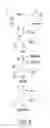 Fig. 06 - Microorganisms and methods for the biosynthesis of aromatics, 2,4-pentadienoate and 1,3-butadiene