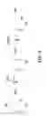 Fig. 09 - Microorganisms and methods for the biosynthesis of aromatics, 2,4-pentadienoate and 1,3-butadiene