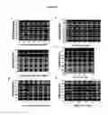 Fig. 06 - Systems of Hydrogen Production in Bacteria