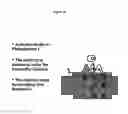Fig. 22 - Systems of Hydrogen Production in Bacteria