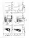 Fig. 05 - METHODS FOR ISOLATING VERY SMALL EMBRYONIC-LIKE (VSEL) STEM CELLS