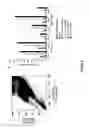 Fig. 08 - METHODS FOR ISOLATING VERY SMALL EMBRYONIC-LIKE (VSEL) STEM CELLS