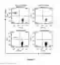 Fig. 09 - METHODS FOR ISOLATING VERY SMALL EMBRYONIC-LIKE (VSEL) STEM CELLS