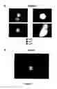 Fig. 10 - METHODS FOR ISOLATING VERY SMALL EMBRYONIC-LIKE (VSEL) STEM CELLS