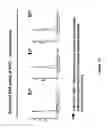 Fig. 14 - METHODS FOR ISOLATING VERY SMALL EMBRYONIC-LIKE (VSEL) STEM CELLS