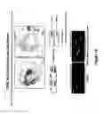 Fig. 17 - METHODS FOR ISOLATING VERY SMALL EMBRYONIC-LIKE (VSEL) STEM CELLS