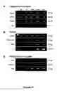 Fig. 23 - METHODS FOR ISOLATING VERY SMALL EMBRYONIC-LIKE (VSEL) STEM CELLS