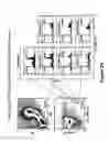 Fig. 25 - METHODS FOR ISOLATING VERY SMALL EMBRYONIC-LIKE (VSEL) STEM CELLS