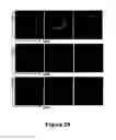 Fig. 33 - METHODS FOR ISOLATING VERY SMALL EMBRYONIC-LIKE (VSEL) STEM CELLS
