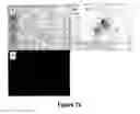 Fig. 35 - METHODS FOR ISOLATING VERY SMALL EMBRYONIC-LIKE (VSEL) STEM CELLS