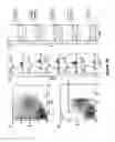 Fig. 46 - METHODS FOR ISOLATING VERY SMALL EMBRYONIC-LIKE (VSEL) STEM CELLS