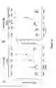 Fig. 47 - METHODS FOR ISOLATING VERY SMALL EMBRYONIC-LIKE (VSEL) STEM CELLS