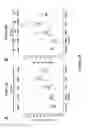Fig. 48 - METHODS FOR ISOLATING VERY SMALL EMBRYONIC-LIKE (VSEL) STEM CELLS