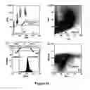 Fig. 73 - METHODS FOR ISOLATING VERY SMALL EMBRYONIC-LIKE (VSEL) STEM CELLS