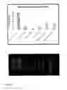 Fig. 09 - ENZYME-BASED NANOSCALE DECONTAMINATING COMPOSITES