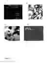 Fig. 14 - ENZYME-BASED NANOSCALE DECONTAMINATING COMPOSITES