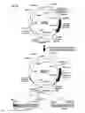 Fig. 06 - Identification of antigen or ligand-specific binding proteins