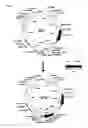 Fig. 15 - Identification of antigen or ligand-specific binding proteins