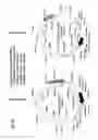 Fig. 17 - Identification of antigen or ligand-specific binding proteins