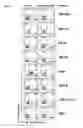 Fig. 24 - Identification of antigen or ligand-specific binding proteins
