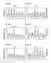 Fig. 07 - PREPRIMITIVE STREAK AND MESENDODERM CELLS