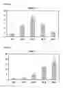 Fig. 10 - PREPRIMITIVE STREAK AND MESENDODERM CELLS