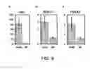 Fig. 14 - PREPRIMITIVE STREAK AND MESENDODERM CELLS