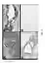 Fig. 18 - PREPRIMITIVE STREAK AND MESENDODERM CELLS