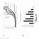 Fig. 13 - Small molecules supporting pluripotent cell growth and methods thereof