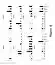 Fig. 17 - Small molecules supporting pluripotent cell growth and methods thereof
