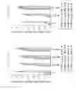 Fig. 15 - Heterogeneous polymeric micelles for intracellular delivery