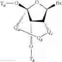 Fig. 10 - OLIGOMERIC COMPOUNDS AND METHODS