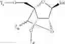 Fig. 11 - OLIGOMERIC COMPOUNDS AND METHODS
