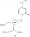 Fig. 19 - OLIGOMERIC COMPOUNDS AND METHODS