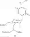 Fig. 23 - OLIGOMERIC COMPOUNDS AND METHODS