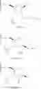 Fig. 48 - OLIGOMERIC COMPOUNDS AND METHODS