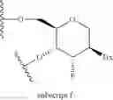 Fig. 51 - OLIGOMERIC COMPOUNDS AND METHODS