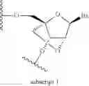 Fig. 52 - OLIGOMERIC COMPOUNDS AND METHODS