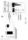Fig. 09 - Structurally designed shRNAs
