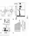 Fig. 11 - Structurally designed shRNAs