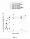 Fig. 13 - Structurally designed shRNAs