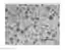 Fig. 01 - EFFICIENT INDUCTION OF PLURIPOTENT STEM CELLS USING SMALL MOLECULE COMPOUNDS