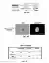 Fig. 02 - EFFICIENT INDUCTION OF PLURIPOTENT STEM CELLS USING SMALL MOLECULE COMPOUNDS